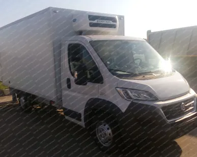 фото Автофургон рефрижератор на шасси Fiat Ducato с ХОУ Dongin Thermo DM-100HN, 4х2