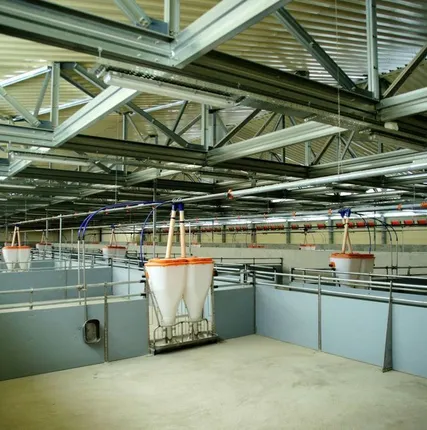 Фото №0 Строительство свинарников