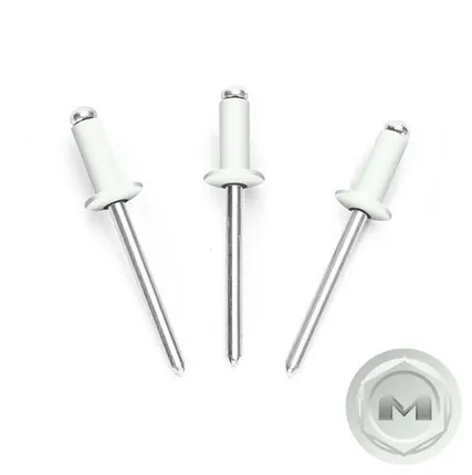 Фото №0 Заклепки вытяжные 3,2*8мм RAL9003 Белый