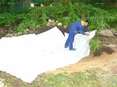 Фото №0 Полотно нетканое 250 г/м2 2.1м