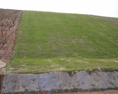 фото Биомат БТ-ВПС/100