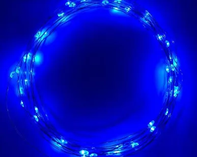 фото Гирлянда светодиодная "Нить" 5м 50LED син. свет АА ЭРА Б0047962