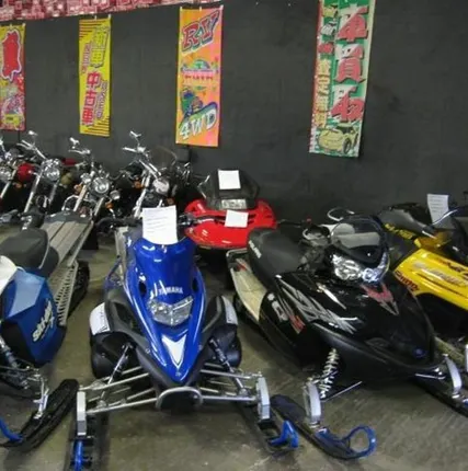 Фото №0 Снегоход из США в наличии