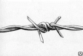 фото Проволока колючая ( светлая )