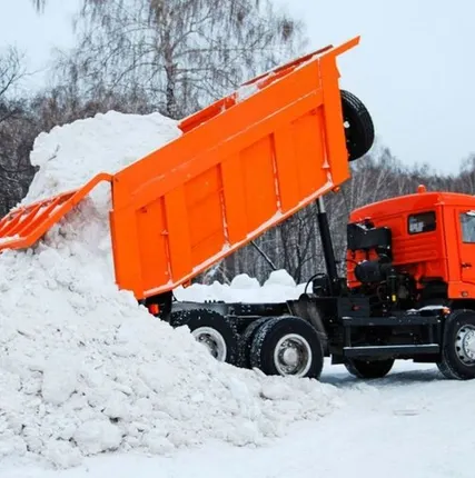 Фото №0 Вывоз снега самосвалами