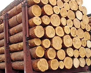 фото Пиловочник круглый, лиственница, d 180-240мм, l=6000 мм, гост 8486.86