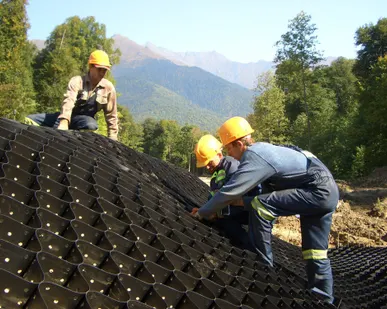 фото Георешетка Прудон 494