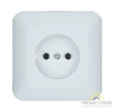 Фото №0 Розетка 1-м СП Прима 10А без заземл. бел SchE RS10-184-B