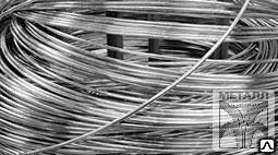 фото Егоза, 500