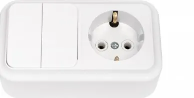 фото Блок О/У Выключатель 2-кл + розетка с заземлением Пралеска Bylectrica 2В-РЦ-529