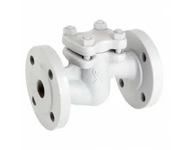 фото Клапан обратный подъемный 16с13нж