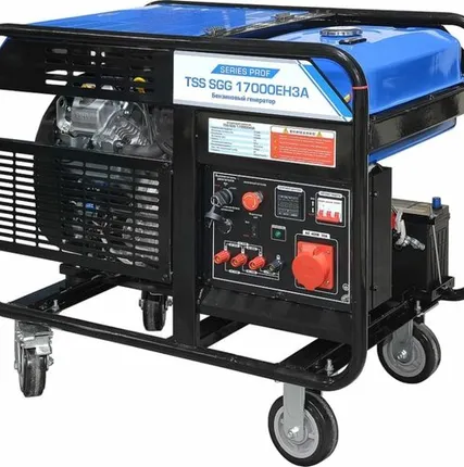 Фото №0 Бензогенератор ТСС SGG 17000EH3A