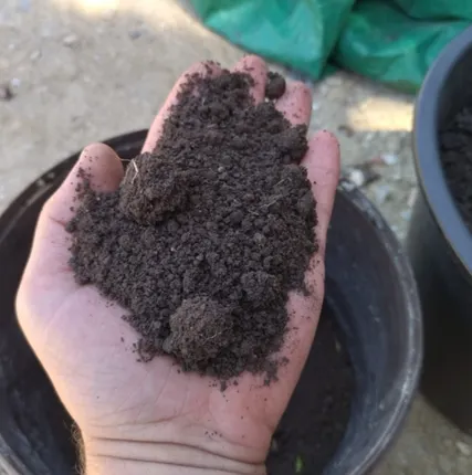 Фото №2 Чернозем Плодородный грунт