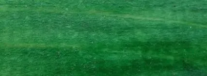 Фото №0 Колеровочная паста РМ Вектор ПРО, &quot;Малахитовый&quot; (РМ 558), 50 г в таре 50 мл