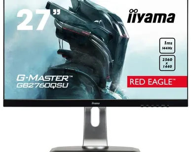 фото Монитор Iiyama G-Master