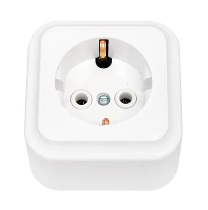 Фото №0 СВЕТОПРИБОР Розетка Пралеска 1 мест. з/к ОУ белая 16А 250В РА16-254 СВЕТОПРИБОР