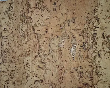 фото Пробка настенная DEKWALL RY 15 Fiord Natural Waxed