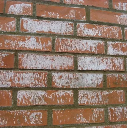 Фото №0 Очистка фасадов из кирпича от высолов