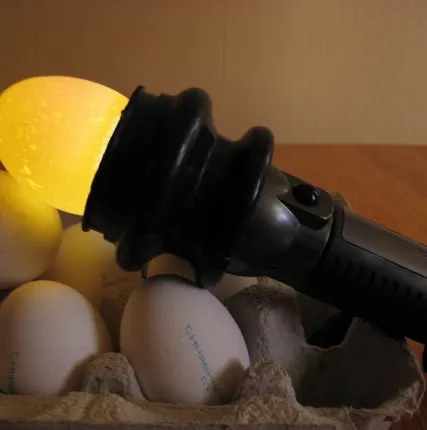 Фото №0 Овоскоп ОН-1 (прибор для контроля качества яиц)