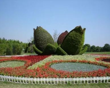 фото 3D Топиарная фигура "Тюльпаны"