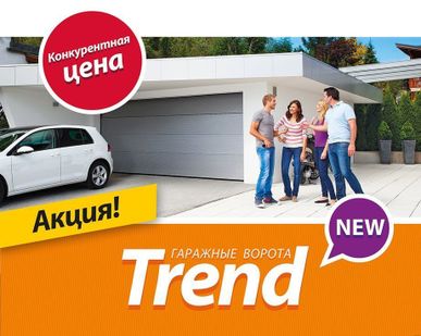 фото Гаражные  ворота Alutech