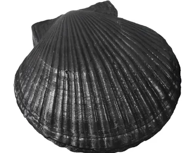 фото Камень для банной печи чугун `Ракушка большая`КЧР-2(Рубцовск) 142х141х67 мм