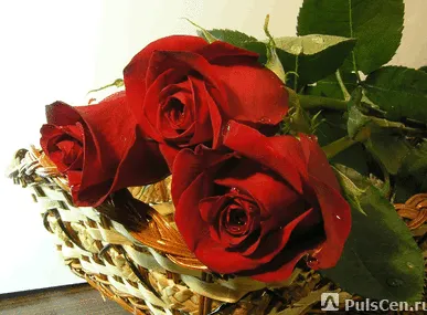 фото Стерео варио календари