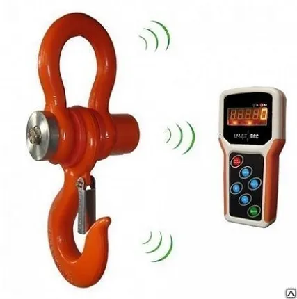 Фото №0 Промышленные крановые весы ВЭК-Д-3000