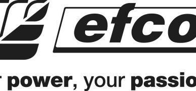 фото Efco (Эфко),OleoMac(ОлеоМак) Ремонт бензоинструмента