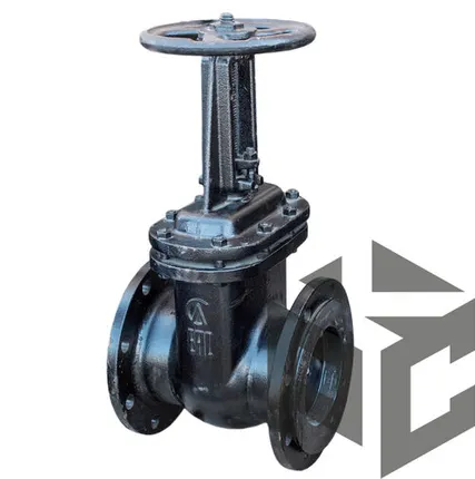 Фото №0 Задвижка чугунная параллельная 30ч6бр Ду 125 Ру 16