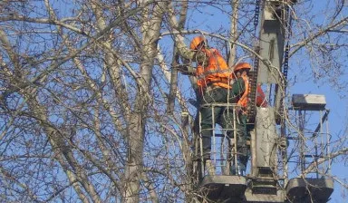 фото Сдам от собственника Иван
