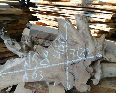 фото Спил корня карагач № 58 63х460х700