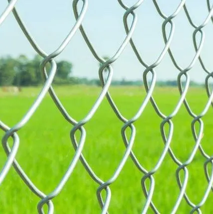 Фото №0 Забор из сетки рабицы