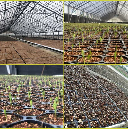 Фото №1 Вермикулит вспученный