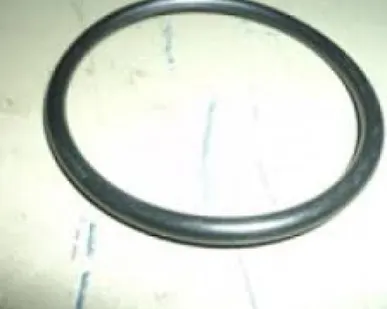 фото Уплотнение O-ring 60х5 Schwing 10 000 765