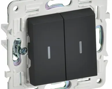 фото SKANDY Выключатель 2-клавишный с индикацией 10А SK-V09G графит IEK