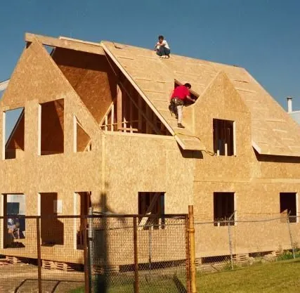 Фото №0 ОСП (OSB) плита 1220х2440 9 мм "Cronospan"