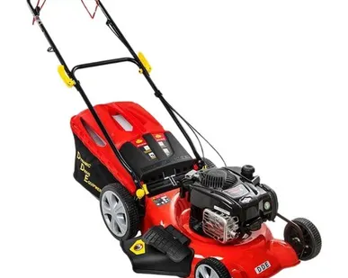 фото Газонокосилка DDE LM 51-60 DB
