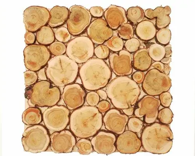 фото Панно из спилов можжевельника 400х400 мм