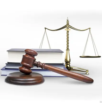 Фото №0 Представительство и защита несовершеннолетних по уголовным делам