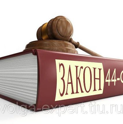 Фото №0 Экспертные услуги в сфере госзаказа