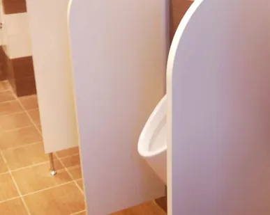 фото Писсуарные перегородки