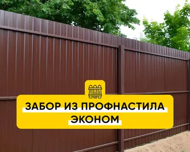 фото Забор из профнастила Эконом RAL 8017, 6005, 3005