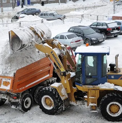 Фото №0 Вывоз снега