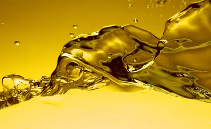 Фото №0 АИ95 Евро5