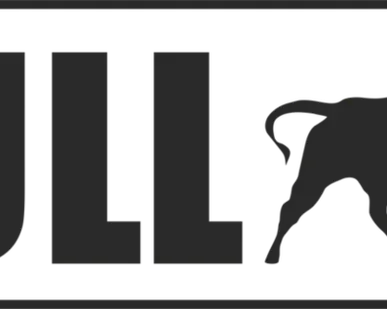 фото Ремонт BULL