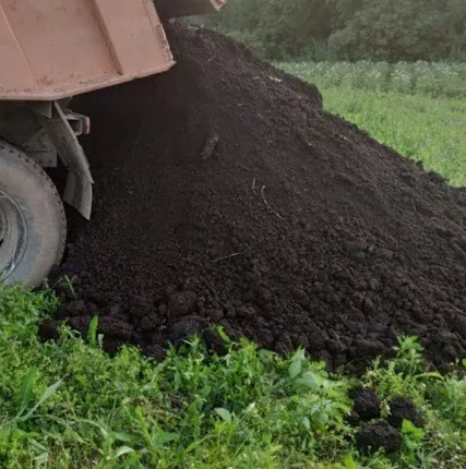 Фото №3 Чернозем Плодородный грунт