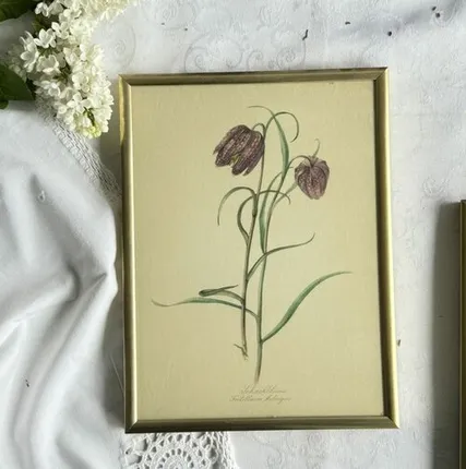 Фото №0 Литография Elsa M.Felsk 19х25 см под стеклом