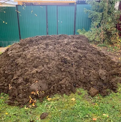 Фото №0 Навоз коровий с доставкой по Ленинградской области