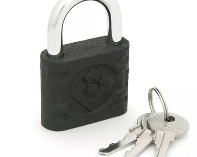 фото Замок навесной 305F-50 Palladium